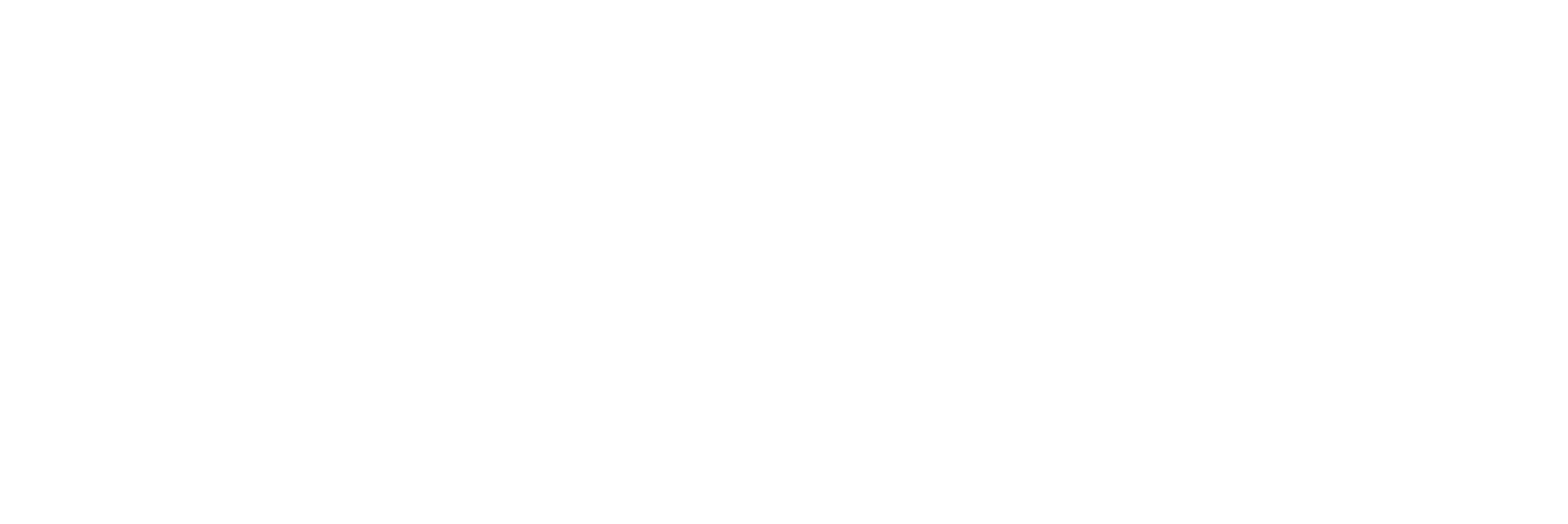 bifa·必发LOGO-横版_03